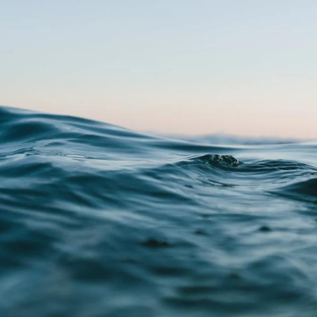 1662431196931807.jpg 22.jpg